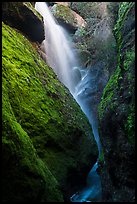 Waterfall spilling down from reservoir into Bear Gulch Cave. Pinnacles National Park ( color)