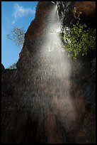 Moses Spring waterfall (fast). Pinnacles National Park ( color)