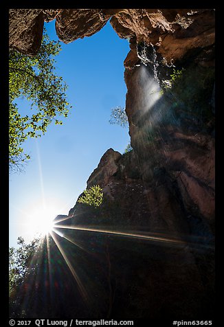 Sun and Moses Spring waterfall, looking up. Pinnacles National Park, California, USA.