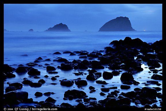 Rocks and sea stacks, blue hour, False Klamath Cove. Redwood National Park, California, USA.