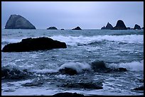Seastacks and surf in foggy weather, Hidden Beach. Redwood National Park ( color)