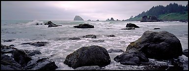 Misty seascape with boulders. Redwood National Park, California, USA.