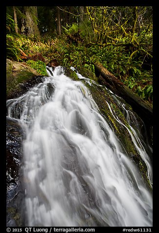 Upper cascades of Fern Falls , Jedediah Smith Redwoods State Park. Redwood National Park (color)