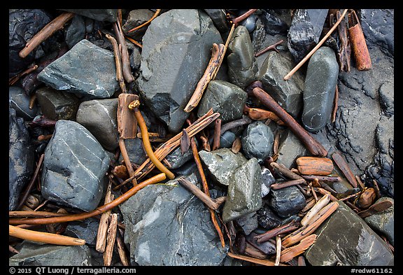 Close-up of driftwood, kelp, and rocks, Enderts Beach. Redwood National Park, California, USA.