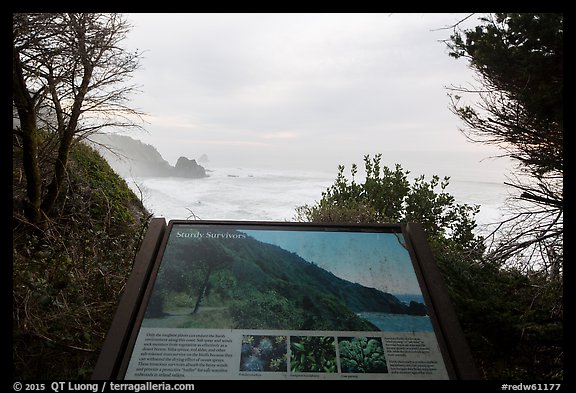 Coastline and Sturdy survivors interpretive sign. Redwood National Park, California, USA.