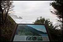 Coastline and Sturdy survivors interpretive sign. Redwood National Park ( color)