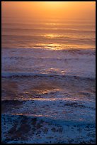 Waves lit by setting sun from above. Redwood National Park ( color)