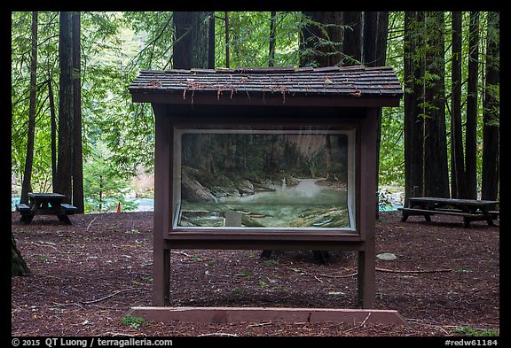 Interpretive picture and redoods on the banks of Smith River, Jedediah Smith Redwoods State Park. Redwood National Park, California, USA.