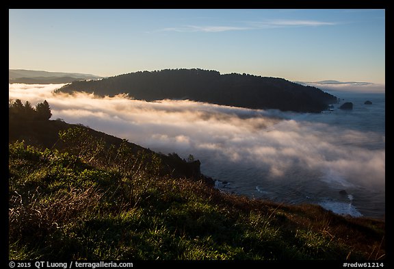 Sea of clouds at the mouth of Klamath River. Redwood National Park, California, USA.