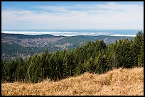 Grasses, trees, and distant Ocean from Dolason Prairie. Redwood National Park ( color)