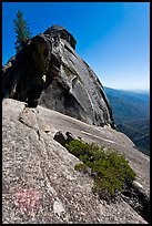 Granite slab, Moro Rock. Sequoia National Park, California, USA. (color)