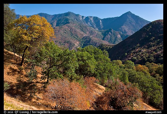 Sierra Nevada western foothills in summer. Sequoia National Park (color)