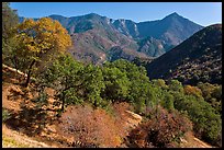 Sierra Nevada western foothills in summer. Sequoia National Park ( color)