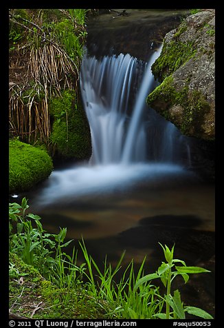 Stream cascade. Sequoia National Park, California, USA.