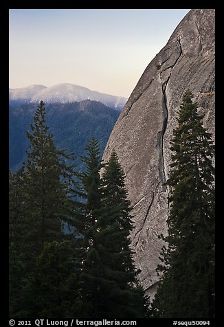 Forest and base of Moro Rock at dawn. Sequoia National Park (color)