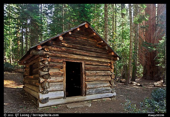 Squatters Cabin. Sequoia National Park (color)
