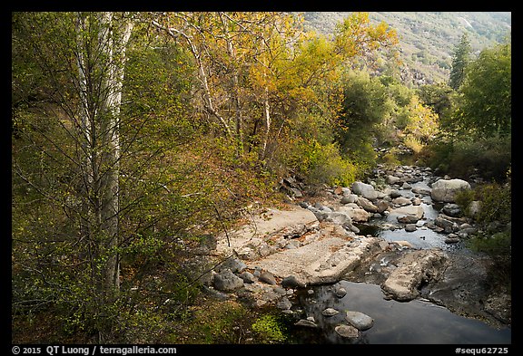 Creek in autumn. Sequoia National Park (color)