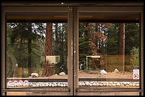 Lodgepole Visitor Center window reflexion. Sequoia National Park ( color)