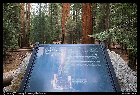 Largest tree on earth interpretive sign. Sequoia National Park, California, USA.