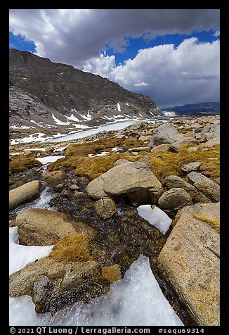 Alpine stream flowing from beneath ice. Sequoia National Park (color)