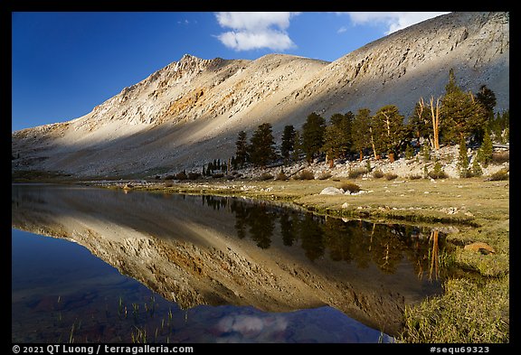 Lake and stand of pine trees. Sequoia National Park (color)