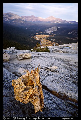 Tuolumne Meadows seen from Fairview Dome, autumn evening. Yosemite National Park (color)