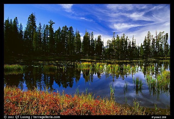 Siesta Lake with Shrubs in autumn colors. Yosemite National Park, California, USA.