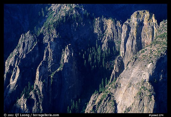 Cathedral Rocks seen from  top of El Capitan, early morning. Yosemite National Park (color)