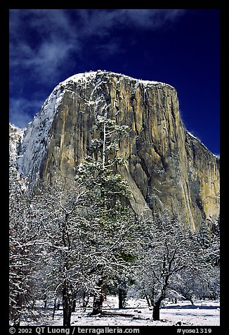 West face of El Capitan in winter. Yosemite National Park, California, USA.