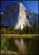 El Capitan and Merced River reflection. Yosemite National Park, California, USA.