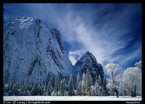 El Capitan Meadow and Cathedral Rocks with fresh snow. Yosemite National Park (color)