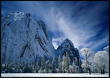 El Capitan Meadow and Cathedral Rocks with fresh snow. Yosemite National Park ( color)