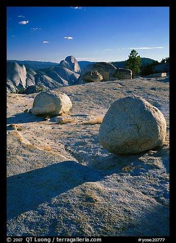 Glacial erratic boulders and Half Dome, Olmsted Point, afternoon. Yosemite National Park, California, USA.