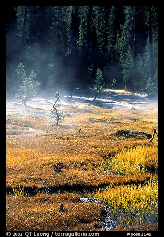 Mist raises from Tuolumne Meadows on a autumn morning. Yosemite National Park (color)