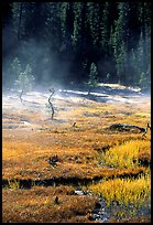 Mist raises from Tuolumne Meadows on a autumn morning. Yosemite National Park, California, USA.