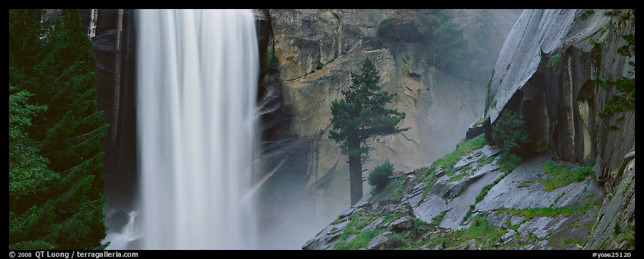 Vernal Fall and tree. Yosemite National Park, California, USA.