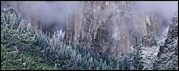 Cliffs and distant snowy trees. Yosemite National Park (Panoramic color)