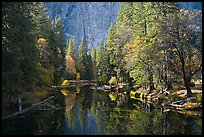 Merced River, trees, and rock wall. Yosemite National Park, California, USA.