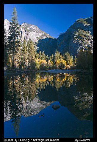 Autumn morning reflections, Merced River. Yosemite National Park, California, USA.