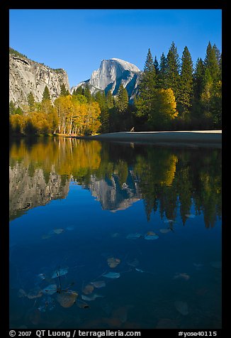 Fallen leaves, Merced River, and Half-Dome reflections. Yosemite National Park (color)