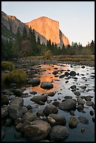 Boulders in Merced River and El Capitan at sunset. Yosemite National Park, California, USA. (color)