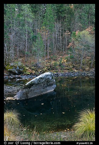 Boulder and reflections in  Merced River in autumn. Yosemite National Park (color)