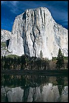 El Capitan and Merced River, morning. Yosemite National Park, California, USA. (color)