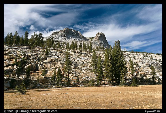 Meadow and Mount Hoffman. Yosemite National Park (color)