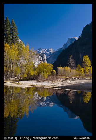 Trees in autum foliage, Half-Dome, and cliff reflected in Merced River. Yosemite National Park (color)