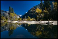 Banks of  Merced River with Half-Dome reflections in autumn. Yosemite National Park ( color)