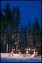 Well-lit gas station and snowy trees. Yosemite National Park, California, USA. (color)