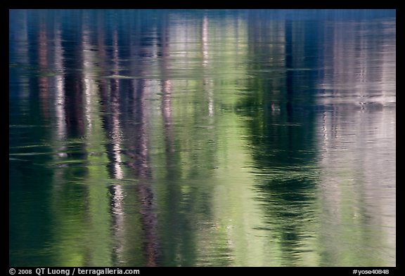Spring reflections in Merced River. Yosemite National Park, California, USA.