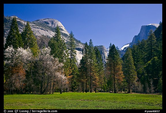 Meadow, North Dome, and Half Dome in spring. Yosemite National Park (color)