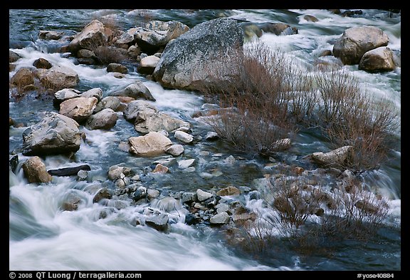 Rapids and shrubs, early spring, Lower Merced Canyon. Yosemite National Park, California, USA.